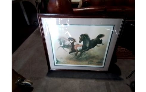 CADRE CHEVEAUX AU GALOP