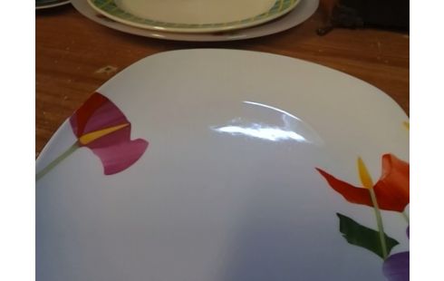 LOT DE 5 ASSIETTES BLANCHES MOTIF FLEURS