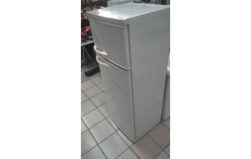 KOEL-VRIESCOMBINATIE