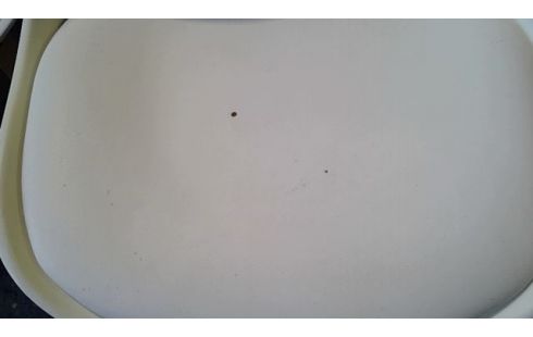 LOT DE 8 CHAISES  COQUES EN L ETAT