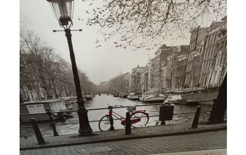 REPRODUCTION AMSTERDAM