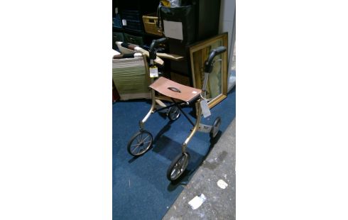 TROTTEUR DEAMBULATEUR