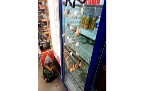 DECORATION COQUILLAGE