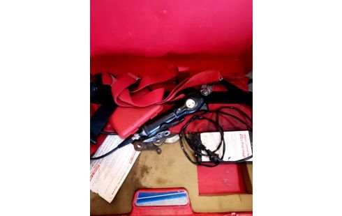 SECATEUR ASSISTANCE ELECTRIQUE + MALETTE