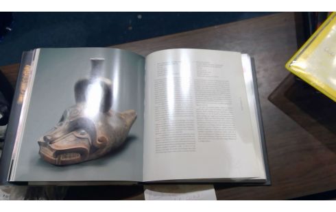 LIVRE MAITRES DES  AMERIQUES