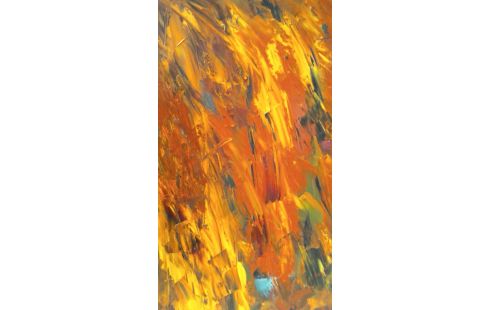 SCHILDERIJ DOEK L VAN