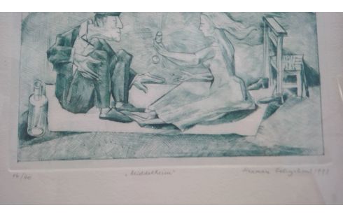 ETS MIDDELHEIM H  GELUYCKENS 14/40