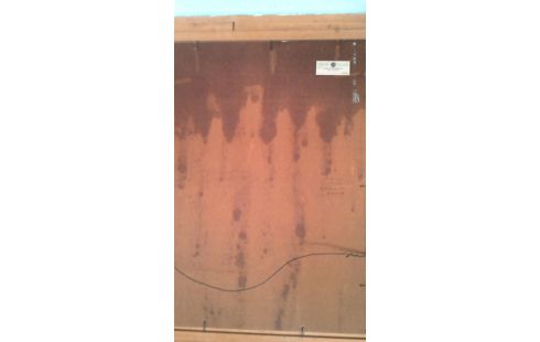 OLIEVERF OP BOARD ORIENT/S.ASSCHER 63