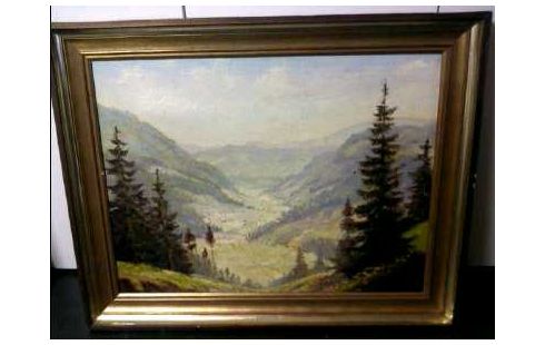 GEMÄLDE I.R. SCHWARZWALD <FR.BACH>