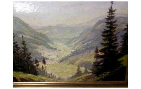 GEMÄLDE I.R. SCHWARZWALD <FR.BACH>