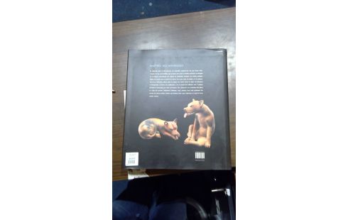 LIVRE MAITRES DES  AMERIQUES