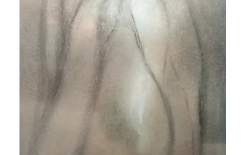 CADRE chrome sous bois 1978