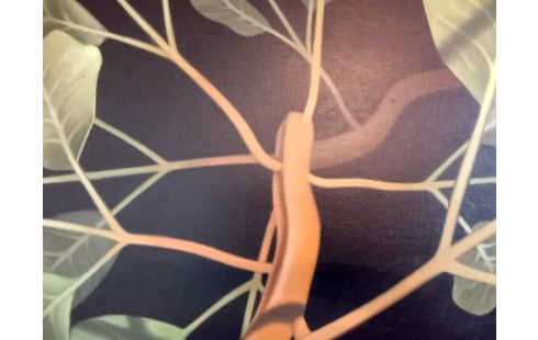 CADRE feuilles vertes