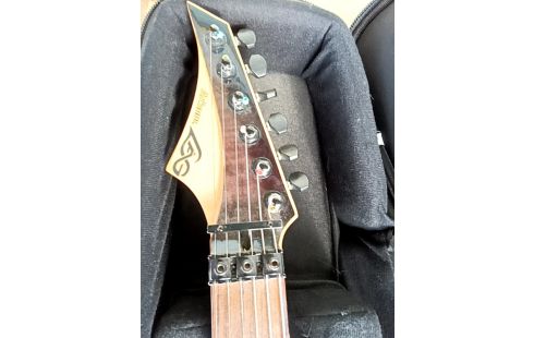 GUITARE ELECTRIQUE LAG ARKANE +HOUSSE