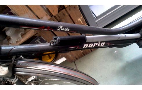 DAMENRAD IM VINTAGE-STIL