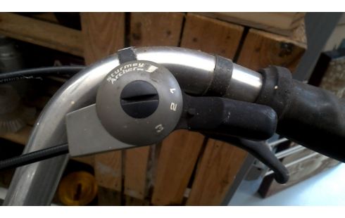 DAMENRAD IM VINTAGE-STIL