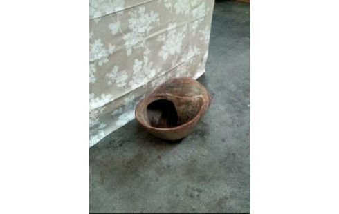 ÜBERTOPF KERAMIK <SCHNECKE>