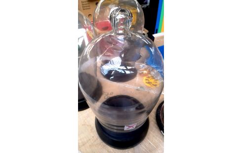 GLOBE ROND GLACE L UNITE