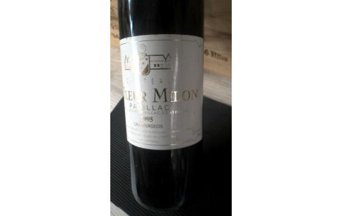 FLES WIJN 1995. CHATEAU LA FLEUR MILON