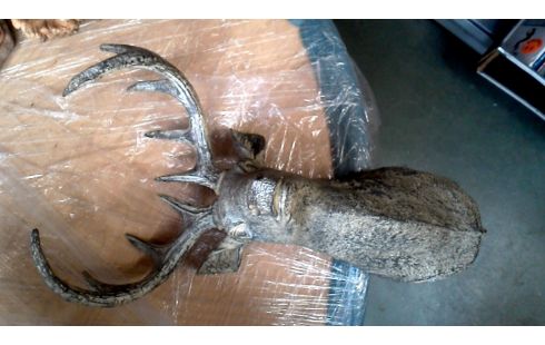 DECO-OBJECT HERT BUSTE KUNSTSTOF