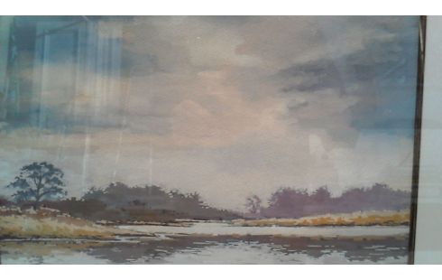 KADER AQUAREL  THIERLINCKX JOS