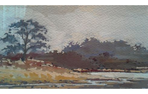 KADER AQUAREL  THIERLINCKX JOS