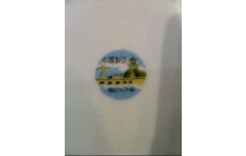 MOCCASET 9-TLG. CHINESISCH FLORAL