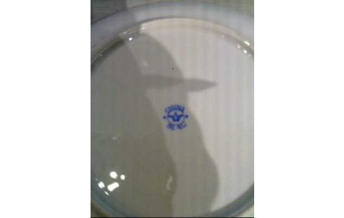 KUCHENTELLER <CHINA-BLAU> RUND