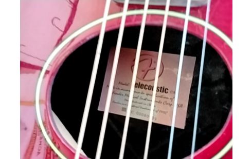 GUITARE ELECTRO ACOUSTIQUE FENDER + HOUSSE