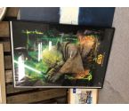 AFFICHE STAR WARS YODA