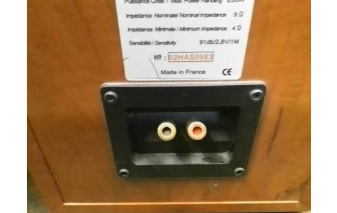 ENCEINTES COLONNE ATHYS 108 LA PAIRE (AVEC NOTICE)