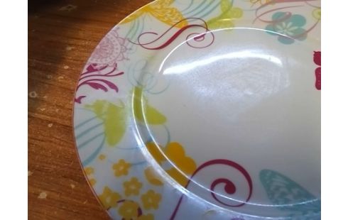 LOT D'ASSIETTES GM  MOTIF PAPILLONS