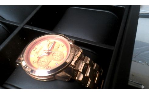 HORLOGE GENEVA BRONS