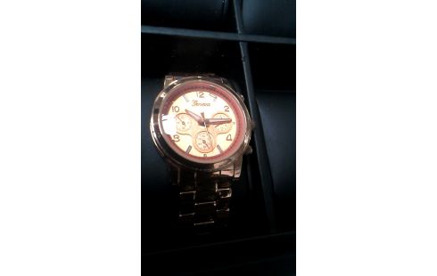 HORLOGE GENEVA BRONS