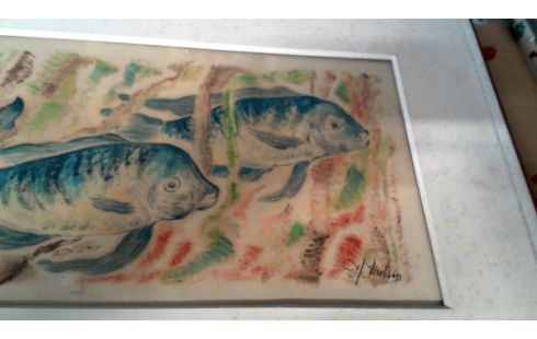 AQUAREL VISSEN J  MELSEN