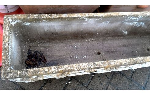 BLUMENKASTEN RECHTECKIG