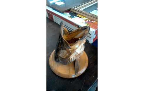 TROPHEE  DE  PECHE  BROCHET