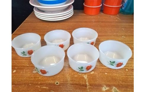 LOT DE 6 RAMEQUINS ARCOPAL