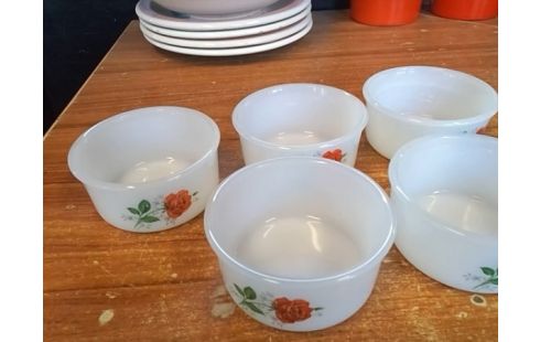 LOT DE 6 RAMEQUINS ARCOPAL