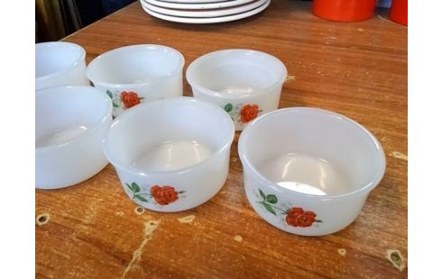 LOT DE 6 RAMEQUINS ARCOPAL