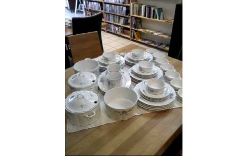 SPEISESERVICE 52-TLG. <ROSENTHAL> CLASS.ROSE