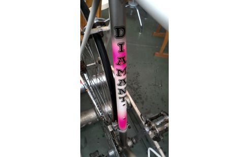 BICICLETA ROSA CRUDO AÑADA