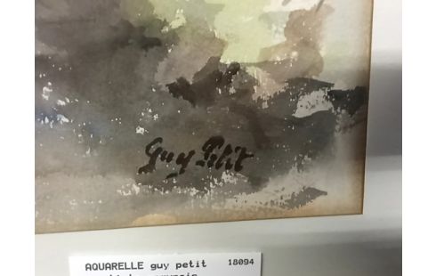 AQUARELLE guy petit artiste namurois