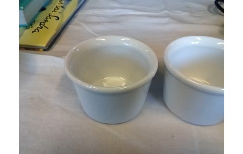 LOT DE 2 RAMEQUINS PM