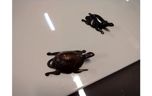 DECORATION TORTUE EN BOIS