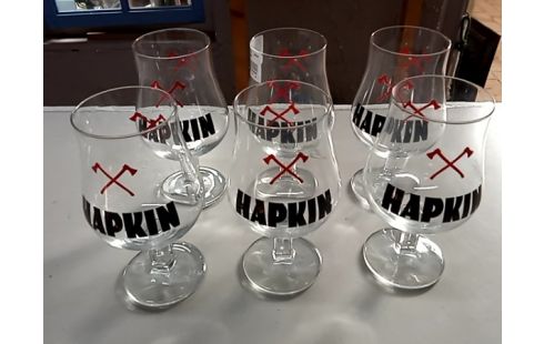 VERRE A BIERE HAPKIN LOT 6