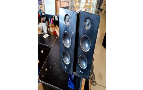 ENCEINTE LG LA PAIRE