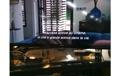 TELEVISEUR TOSHIBA 48L3663DG