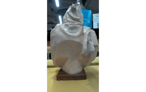 BUSTE PLEISTER IN DE STAAT