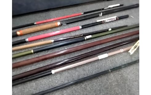 CANNE A PECHE A FRITURE